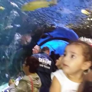 Meet your Posher, Luis